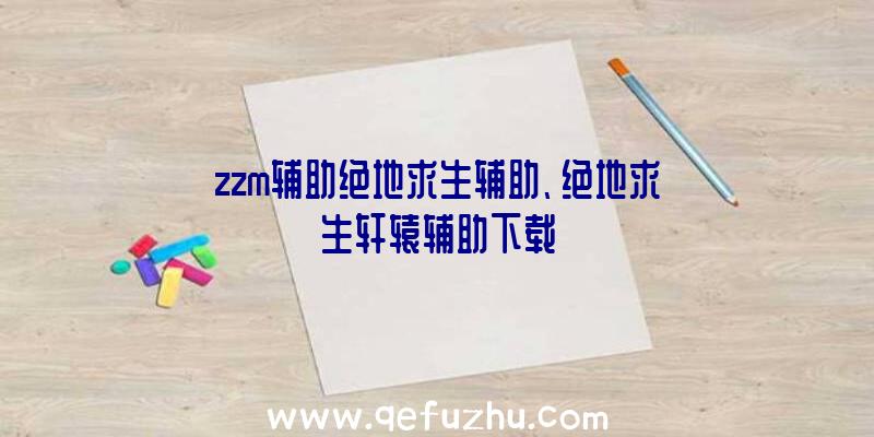 zzm辅助绝地求生辅助、绝地求生轩辕辅助下载