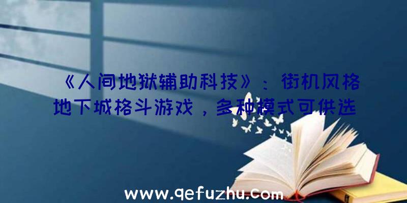 《人间地狱辅助科技》：街机风格地下城格斗游戏，多种模式可供选择