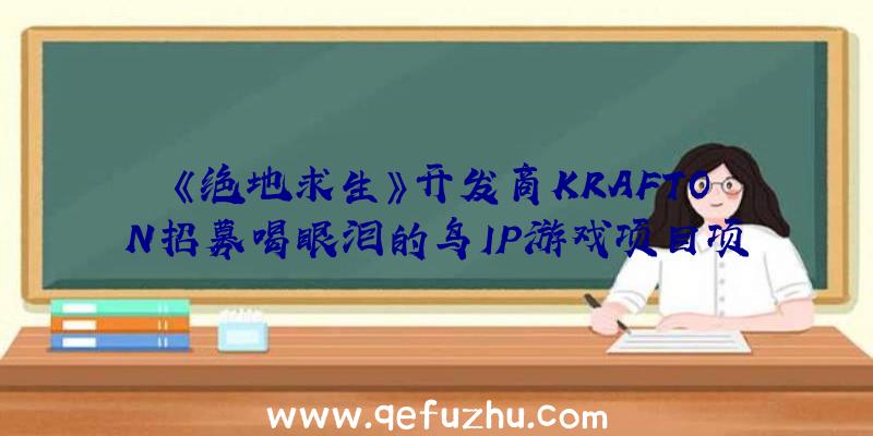 《绝地求生》开发商KRAFTON招募喝眼泪的鸟IP游戏项目项