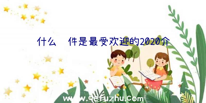 什么软件是最受欢迎的2020介绍