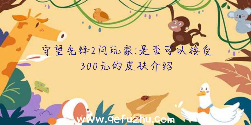 守望先锋2问玩家:是否可以接受300元的皮肤介绍