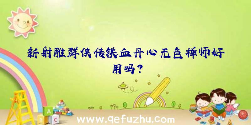 新射雕群侠传铁血丹心无色禅师好用吗？