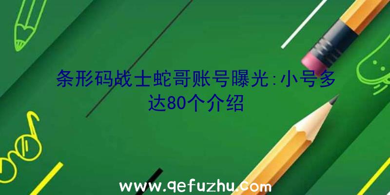 条形码战士蛇哥账号曝光:小号多达80个介绍