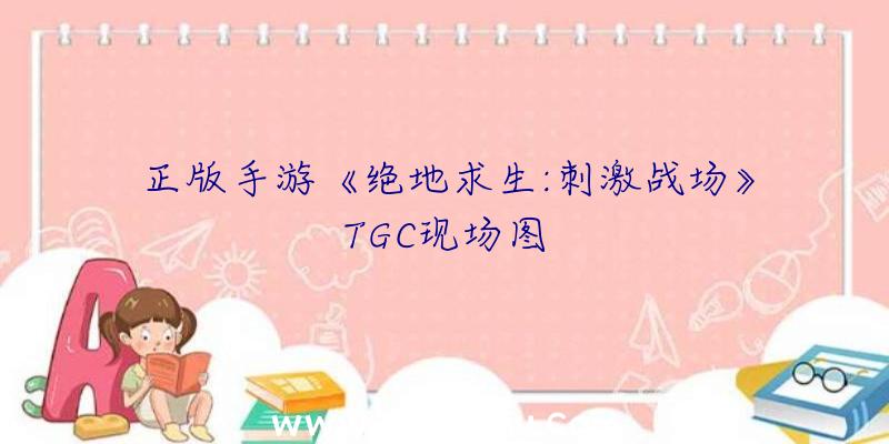 正版手游《绝地求生:刺激战场》TGC现场图