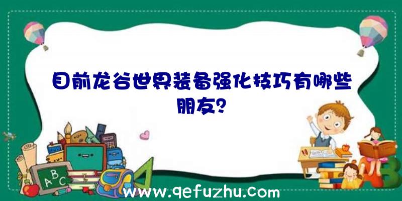 目前龙谷世界装备强化技巧有哪些朋友？