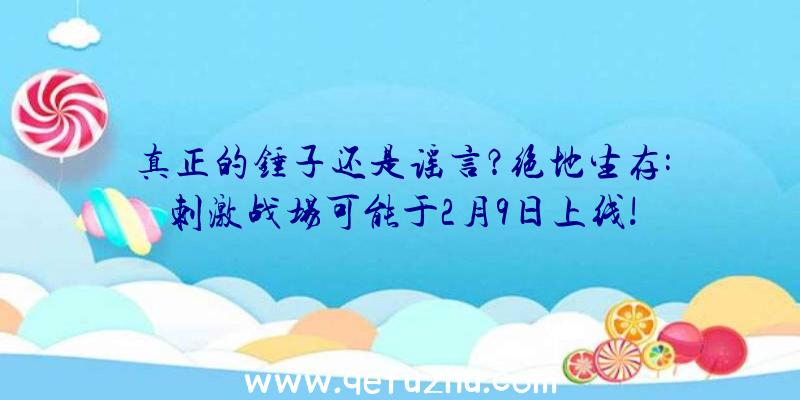 真正的锤子还是谣言？绝地生存:刺激战场可能于2月9日上线!