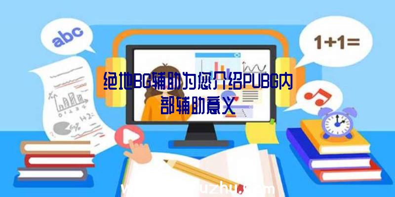 绝地BG辅助为您介绍PUBG内部辅助意义