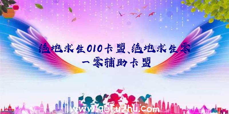 绝地求生010卡盟、绝地求生零一零辅助卡盟