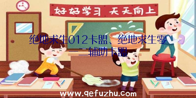 绝地求生012卡盟、绝地求生零一二辅助卡盟