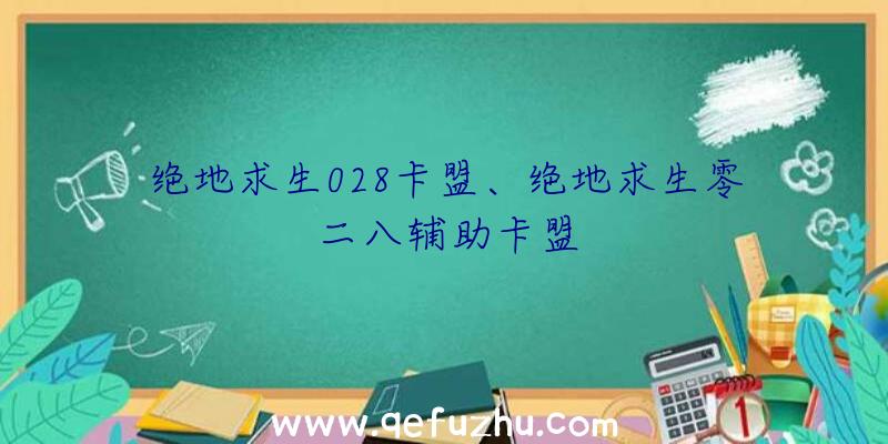 绝地求生028卡盟、绝地求生零二八辅助卡盟