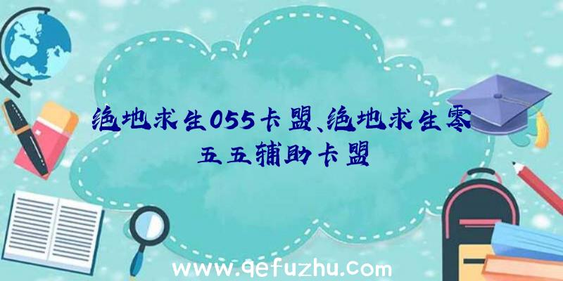 绝地求生055卡盟、绝地求生零五五辅助卡盟