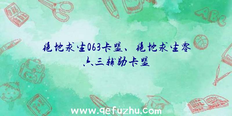 绝地求生063卡盟、绝地求生零六三辅助卡盟