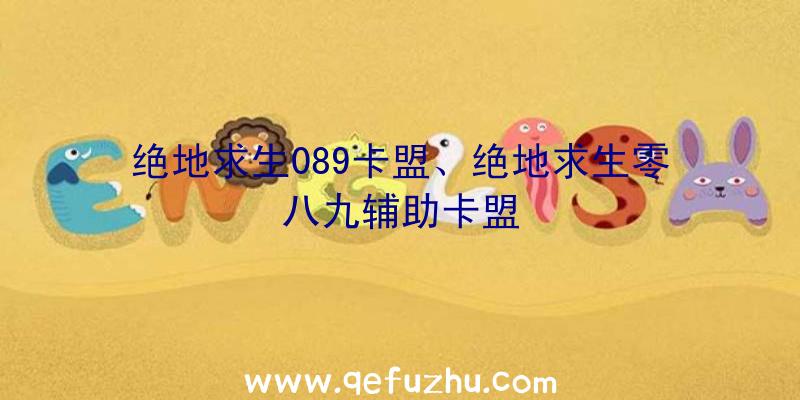 绝地求生089卡盟、绝地求生零八九辅助卡盟