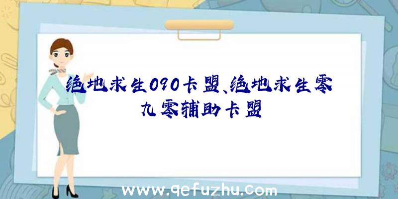 绝地求生090卡盟、绝地求生零九零辅助卡盟