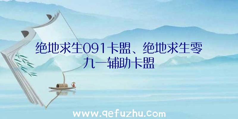 绝地求生091卡盟、绝地求生零九一辅助卡盟