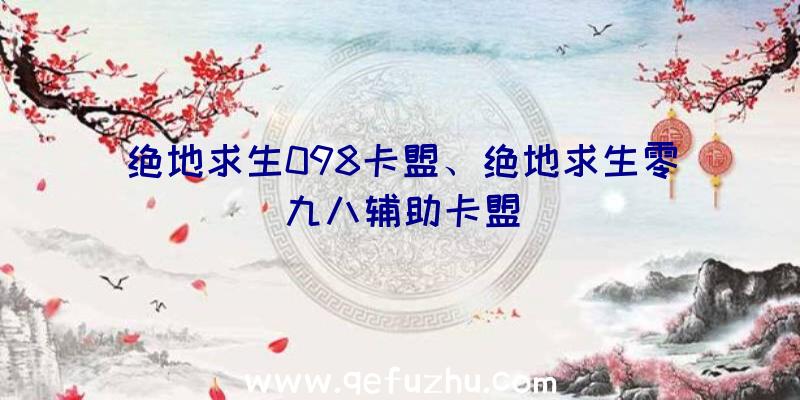 绝地求生098卡盟、绝地求生零九八辅助卡盟