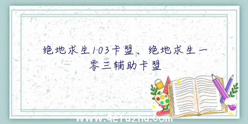 绝地求生103卡盟、绝地求生一零三辅助卡盟