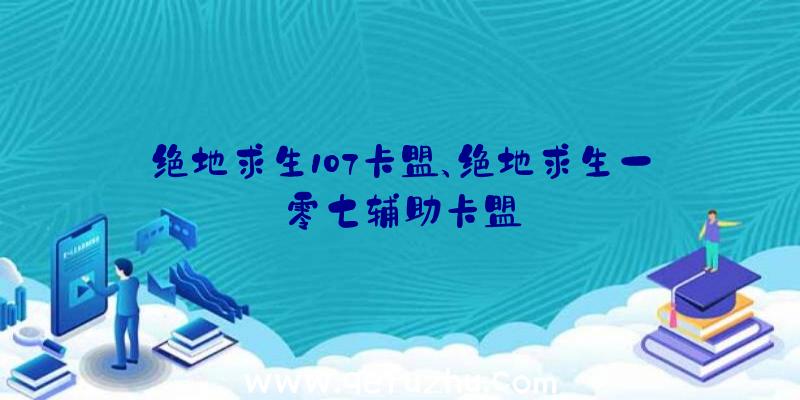 绝地求生107卡盟、绝地求生一零七辅助卡盟