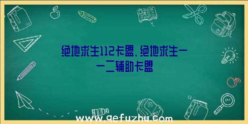 绝地求生112卡盟、绝地求生一一二辅助卡盟