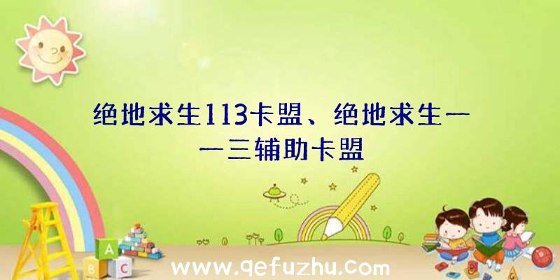 绝地求生113卡盟、绝地求生一一三辅助卡盟