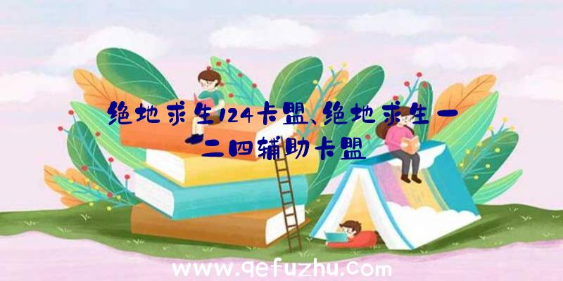 绝地求生124卡盟、绝地求生一二四辅助卡盟