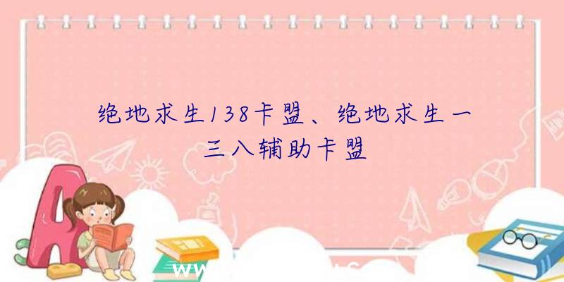 绝地求生138卡盟、绝地求生一三八辅助卡盟