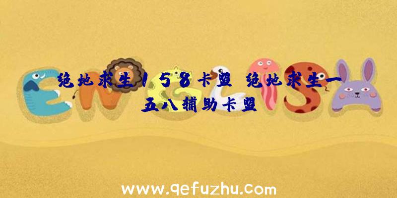 绝地求生158卡盟、绝地求生一五八辅助卡盟