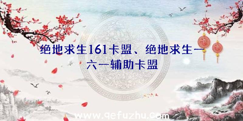 绝地求生161卡盟、绝地求生一六一辅助卡盟