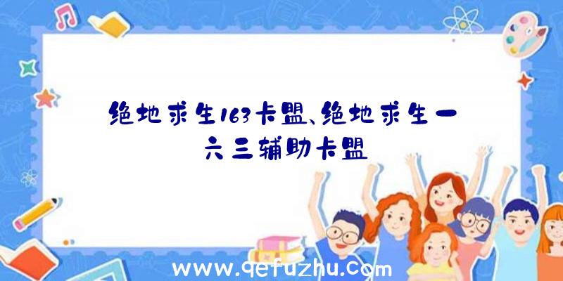 绝地求生163卡盟、绝地求生一六三辅助卡盟