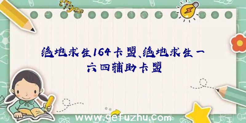 绝地求生164卡盟、绝地求生一六四辅助卡盟