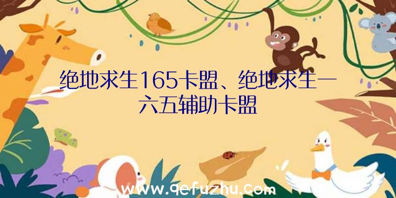 绝地求生165卡盟、绝地求生一六五辅助卡盟