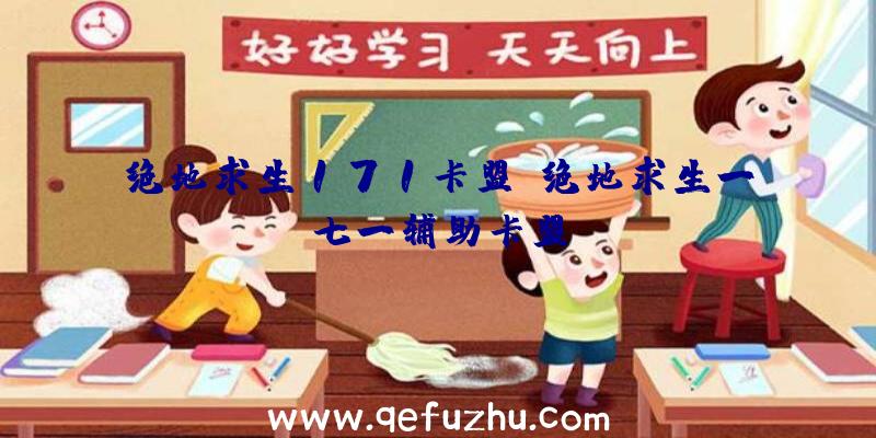 绝地求生171卡盟、绝地求生一七一辅助卡盟