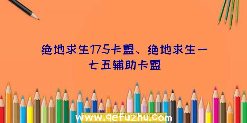 绝地求生175卡盟、绝地求生一七五辅助卡盟