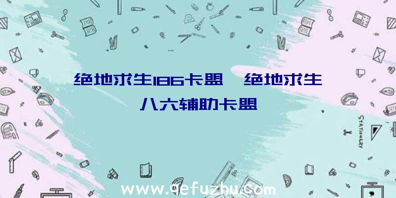 绝地求生186卡盟、绝地求生一八六辅助卡盟