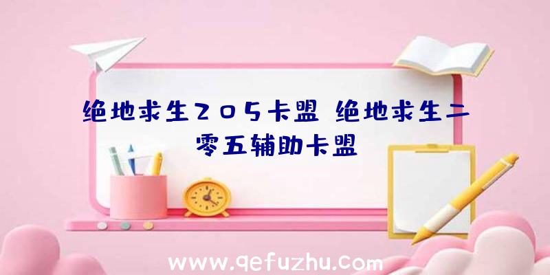 绝地求生205卡盟、绝地求生二零五辅助卡盟