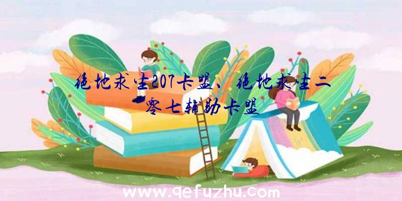 绝地求生207卡盟、绝地求生二零七辅助卡盟