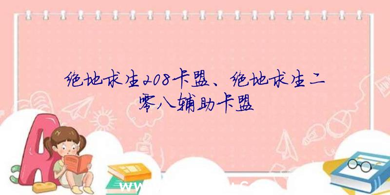 绝地求生208卡盟、绝地求生二零八辅助卡盟