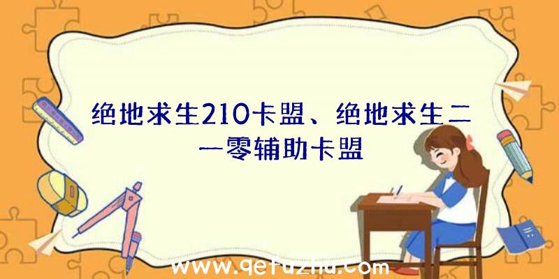 绝地求生210卡盟、绝地求生二一零辅助卡盟