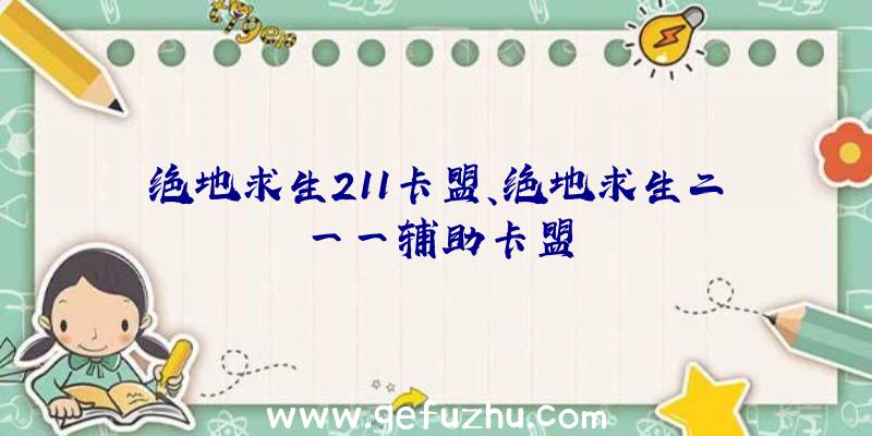 绝地求生211卡盟、绝地求生二一一辅助卡盟