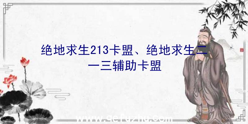 绝地求生213卡盟、绝地求生二一三辅助卡盟