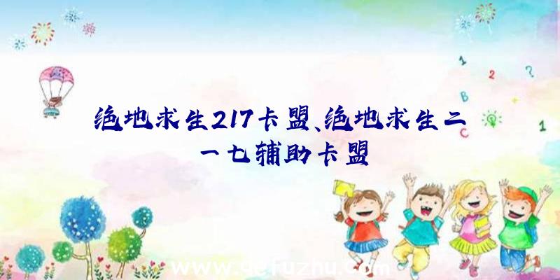 绝地求生217卡盟、绝地求生二一七辅助卡盟