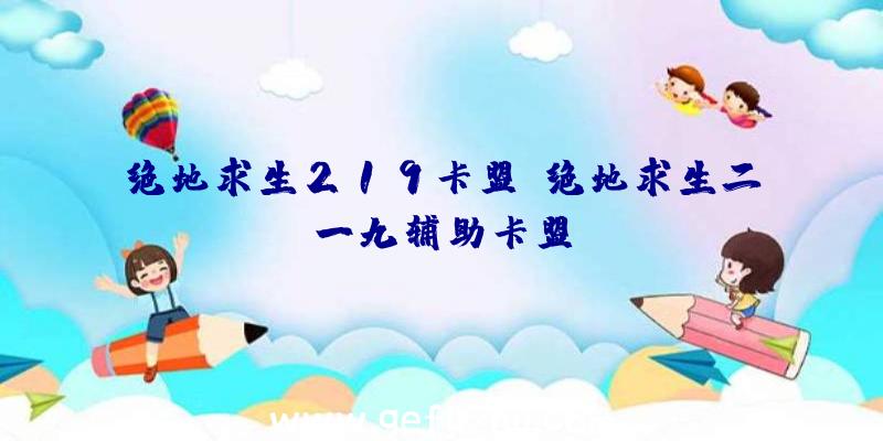 绝地求生219卡盟、绝地求生二一九辅助卡盟