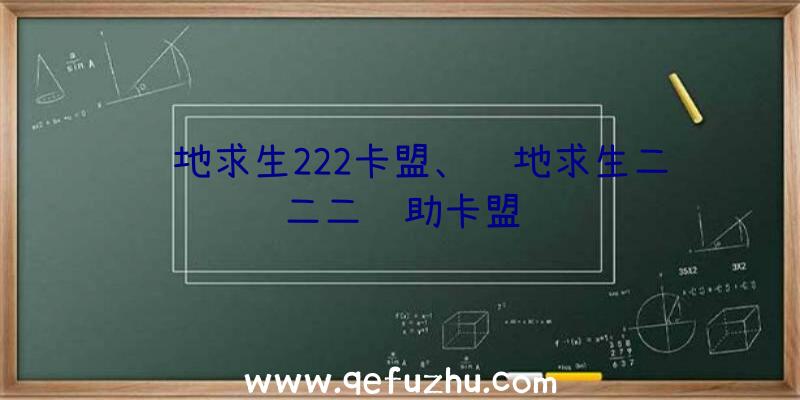 绝地求生222卡盟、绝地求生二二二辅助卡盟