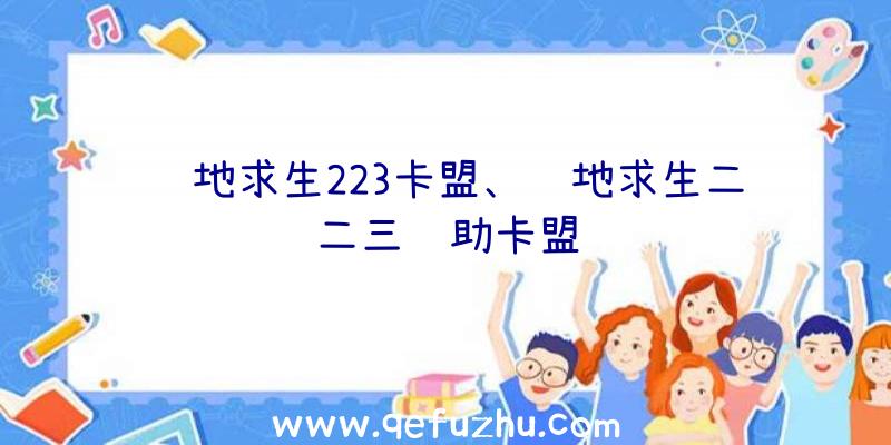 绝地求生223卡盟、绝地求生二二三辅助卡盟