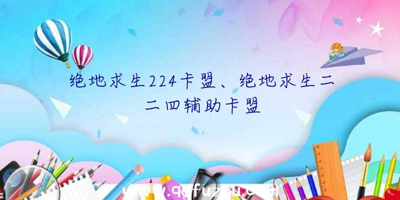 绝地求生224卡盟、绝地求生二二四辅助卡盟