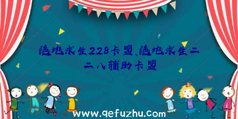 绝地求生228卡盟、绝地求生二二八辅助卡盟