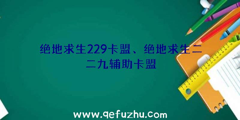 绝地求生229卡盟、绝地求生二二九辅助卡盟