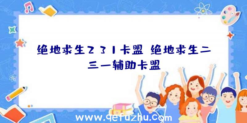 绝地求生231卡盟、绝地求生二三一辅助卡盟