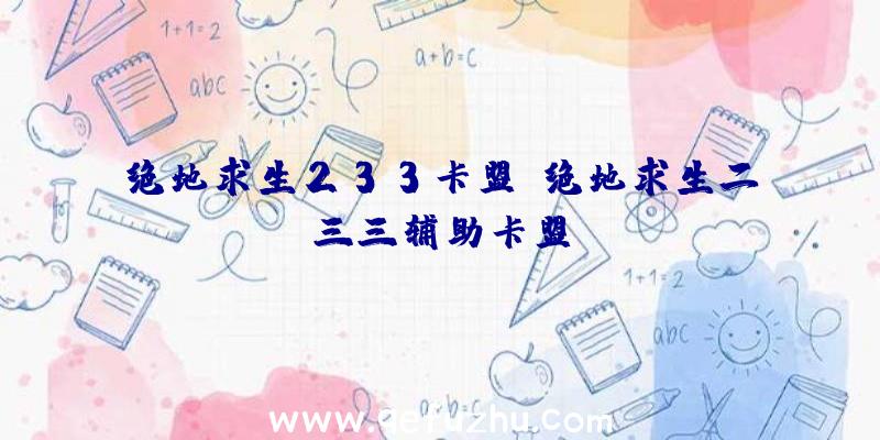 绝地求生233卡盟、绝地求生二三三辅助卡盟