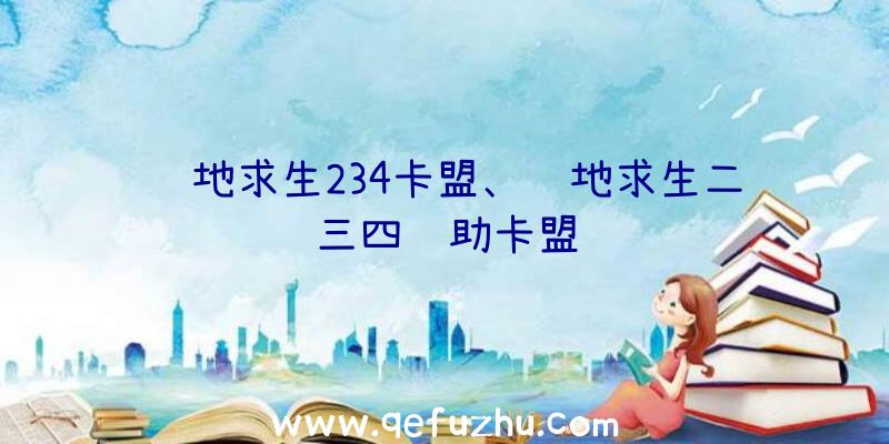 绝地求生234卡盟、绝地求生二三四辅助卡盟